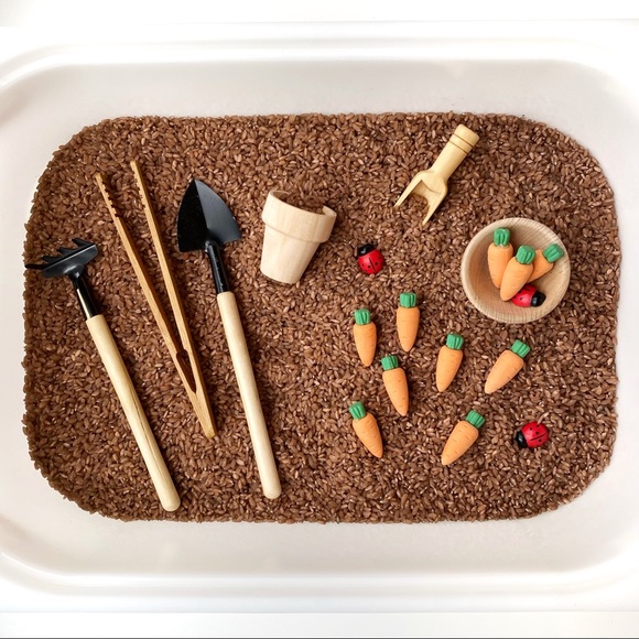 Taylored Toys Other - Carrot Garden Rice Sensory Bin Filler